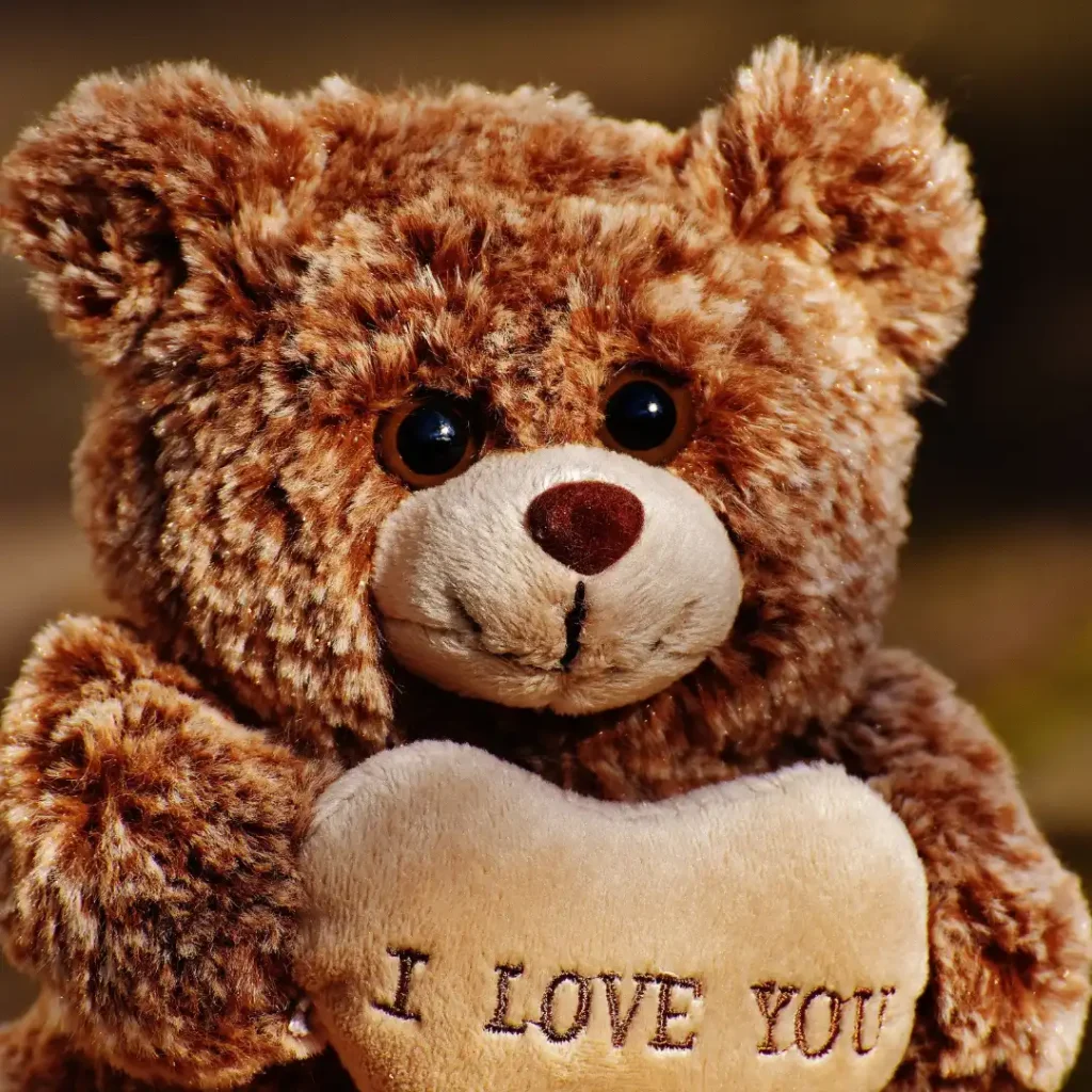 teddy bear images for dp