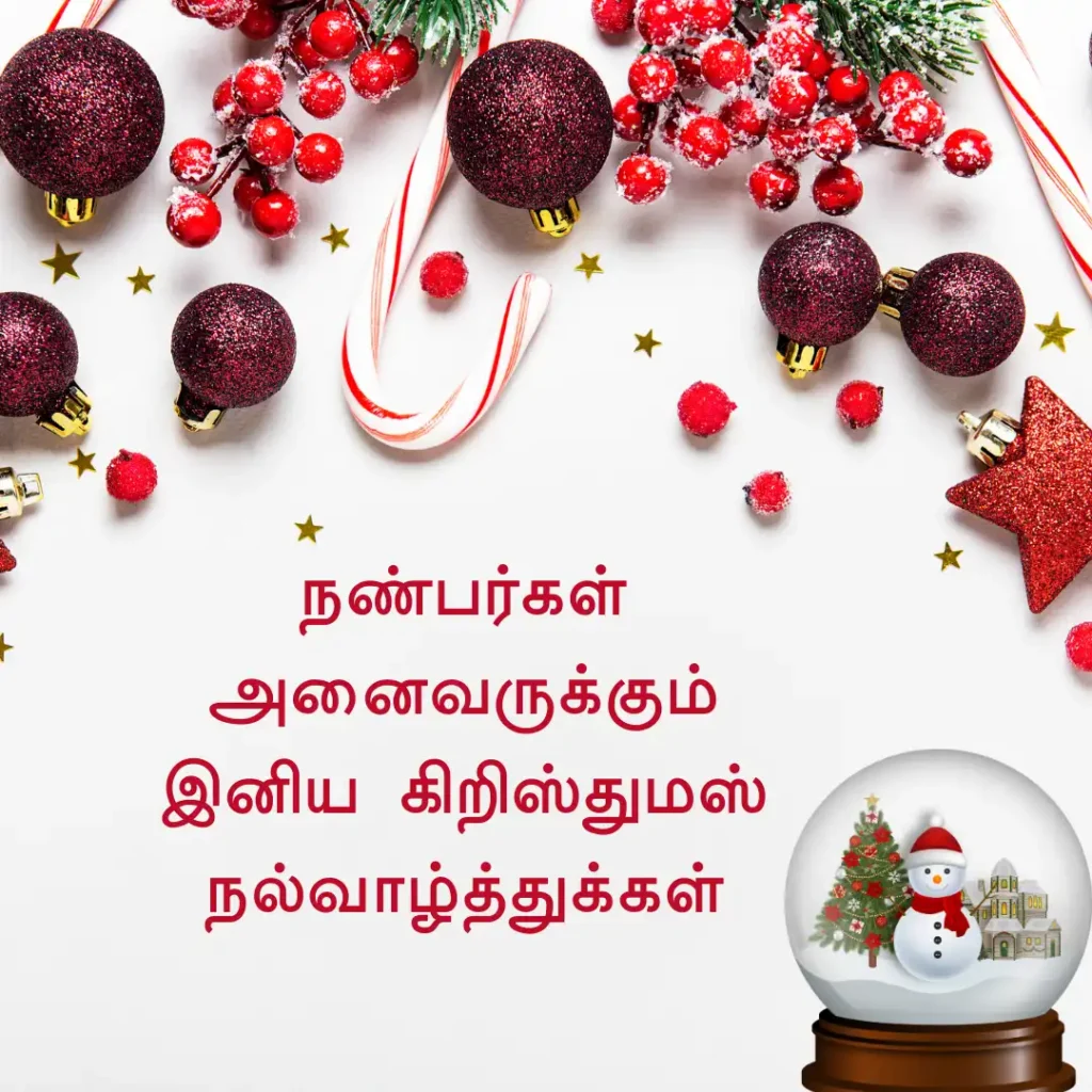 Christmas Wishes in Tamil 2023 for Friends