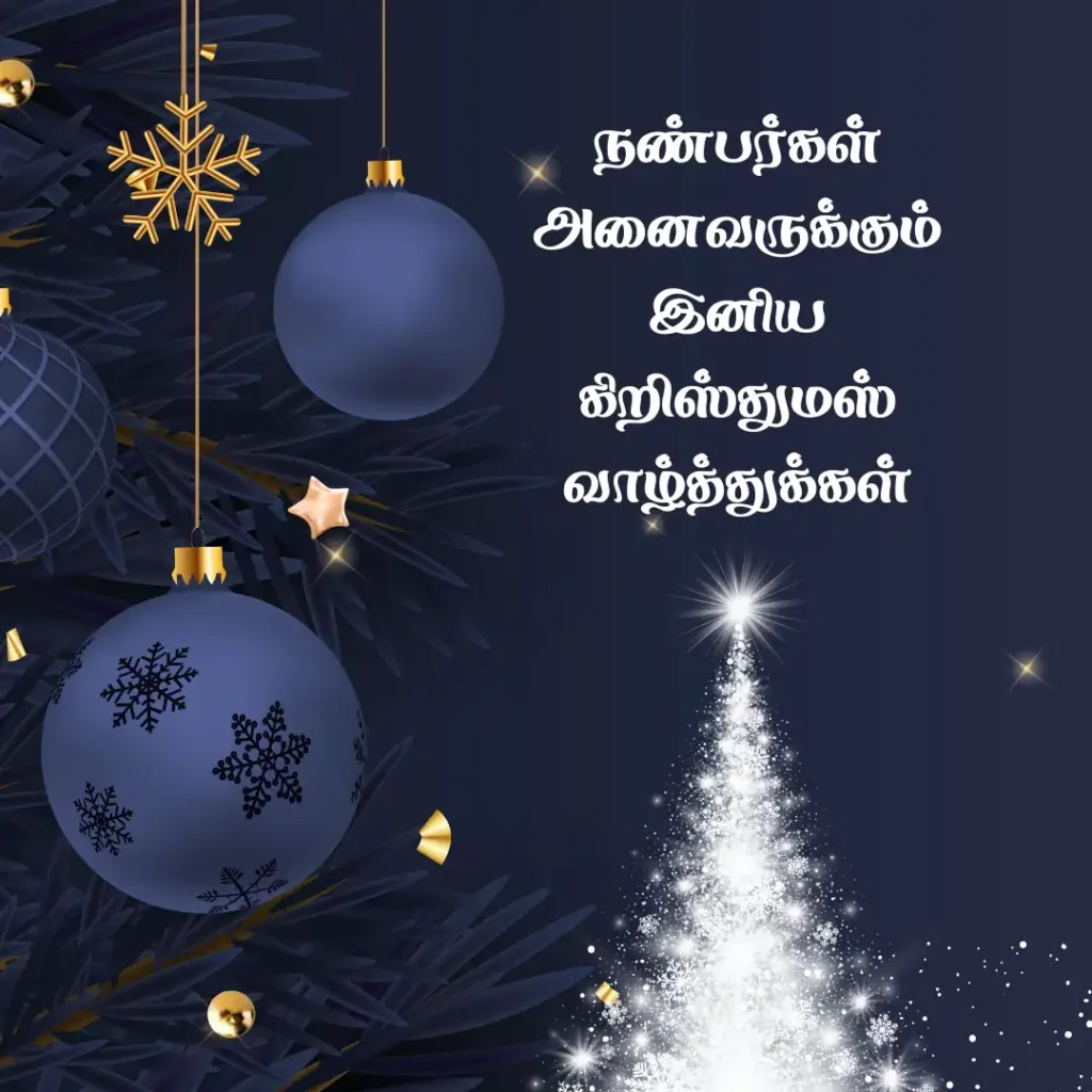 Funny Christmas Wishes in Tamil for Friends