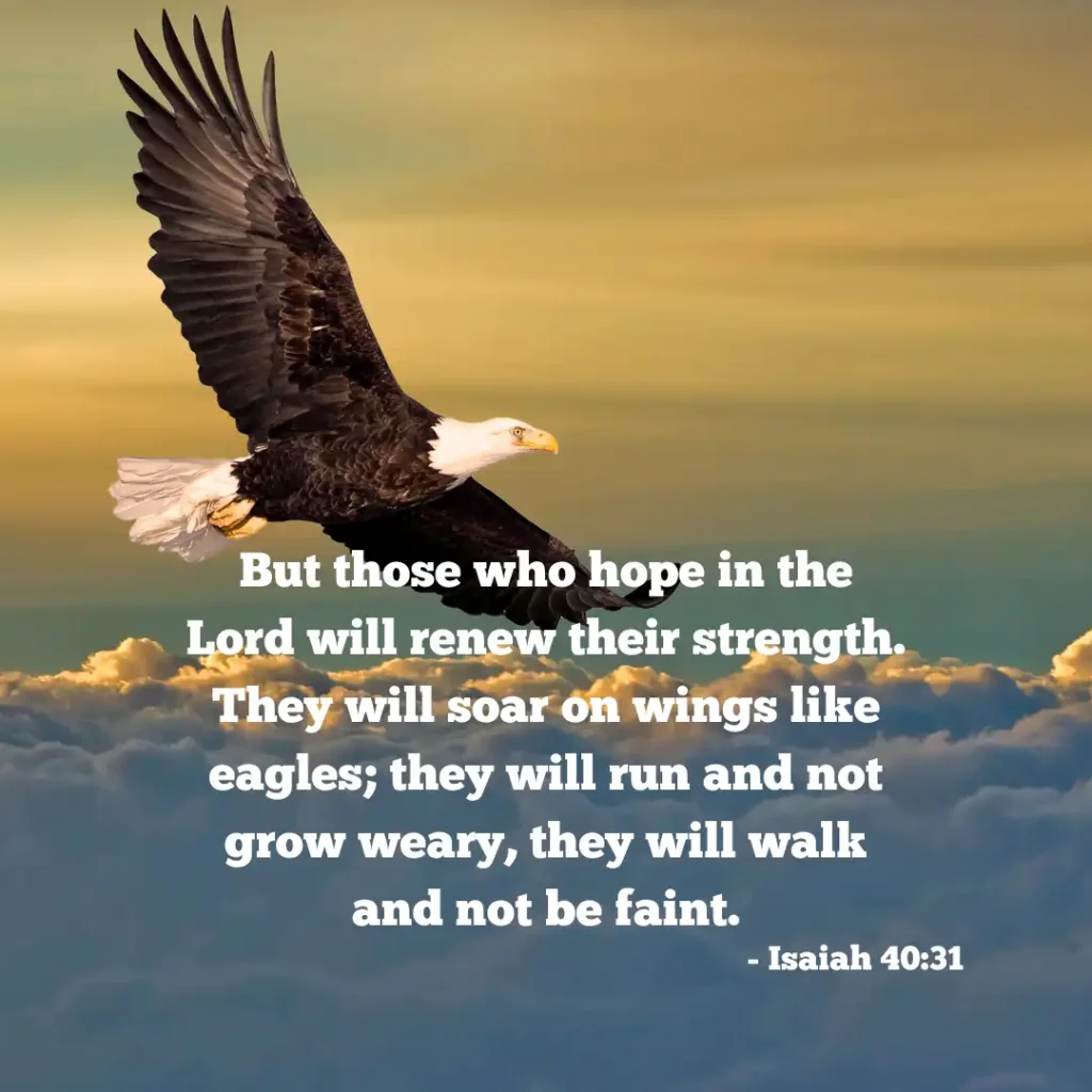 Isaiah 40 31