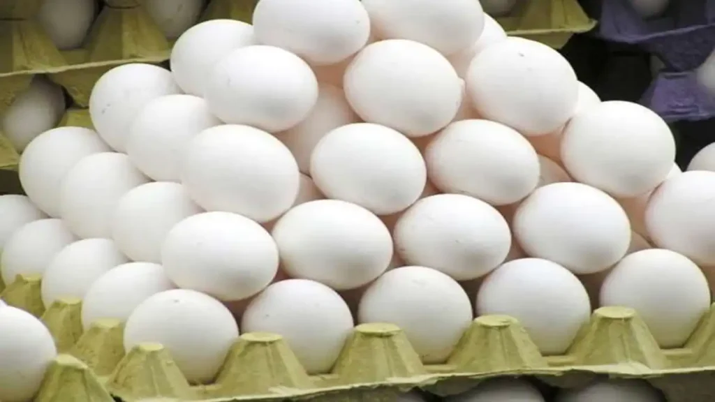 Tamil News In Live Egg prices have increased in Namakkal district today