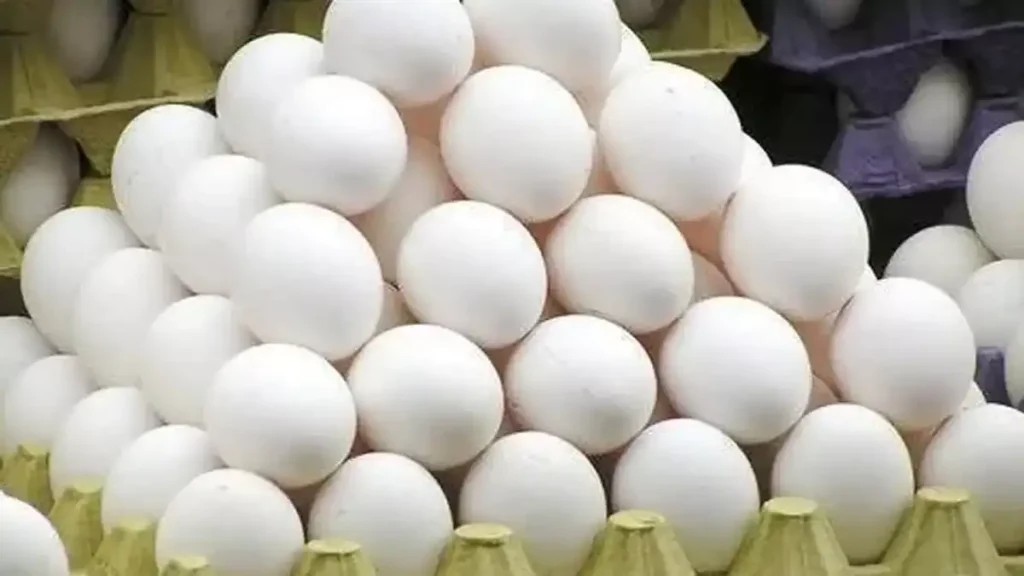 Today News In Tamil Nadu the price of eggs is continuously increasing